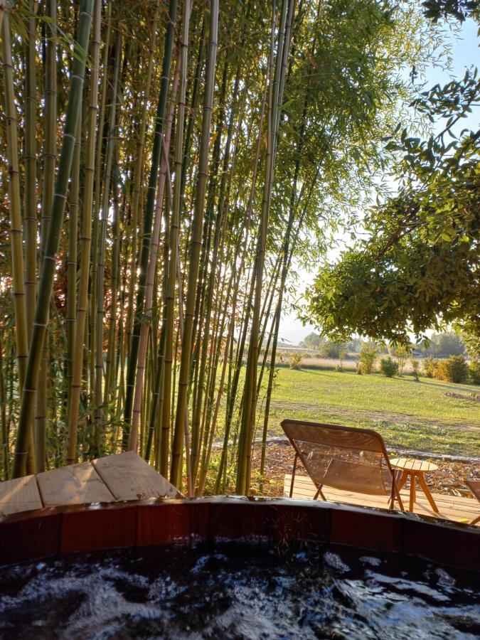 Maisonette Et Spa Bois La Bégude-de-Mazenc エクステリア 写真