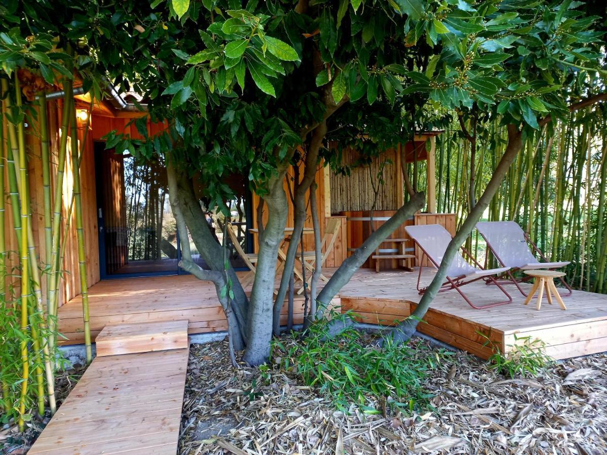 Maisonette Et Spa Bois La Bégude-de-Mazenc エクステリア 写真
