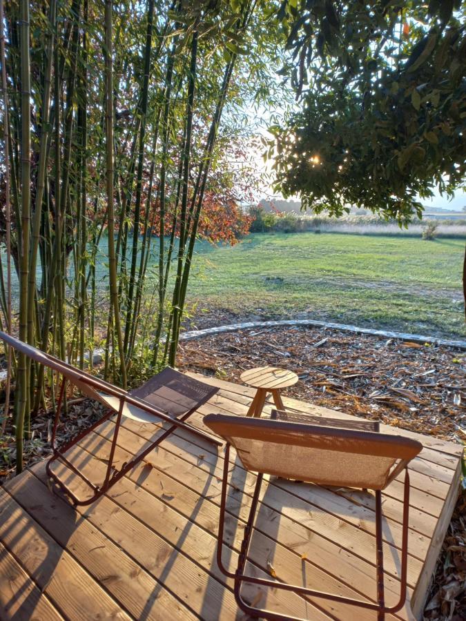 Maisonette Et Spa Bois La Bégude-de-Mazenc エクステリア 写真